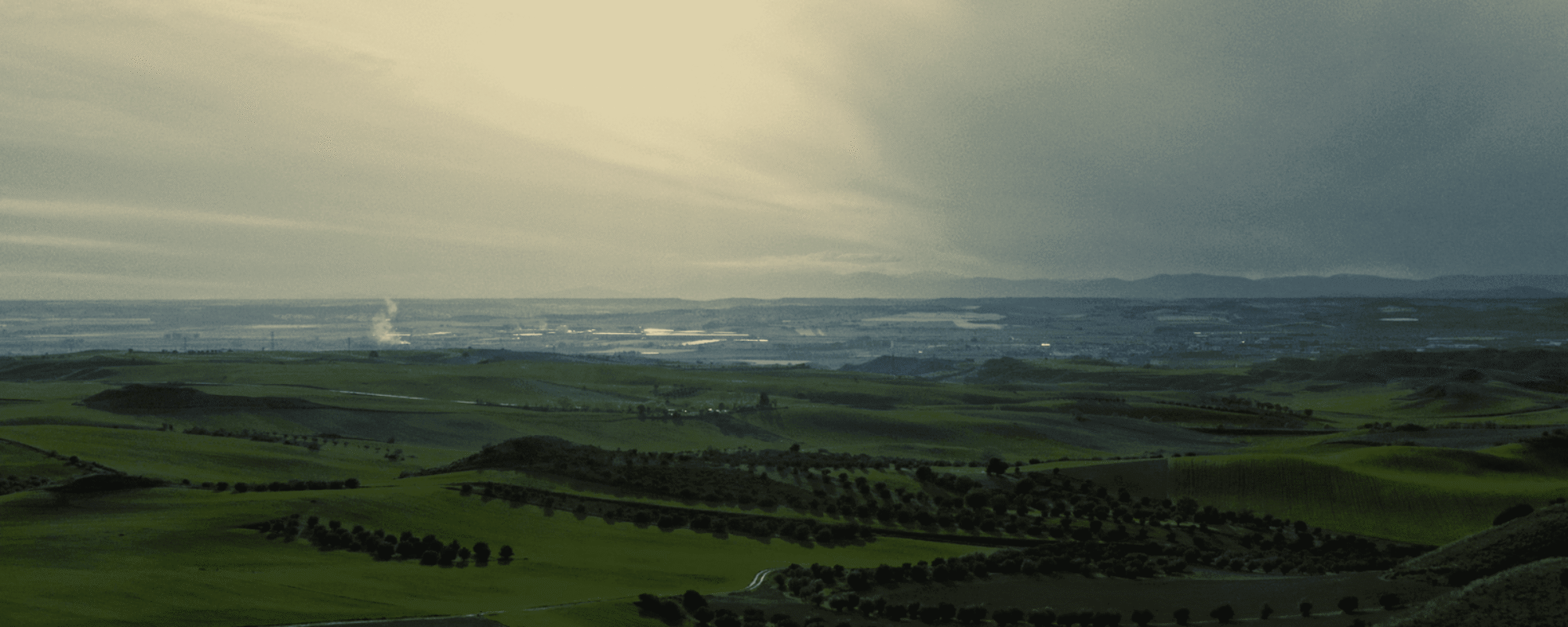 clourofobia-15