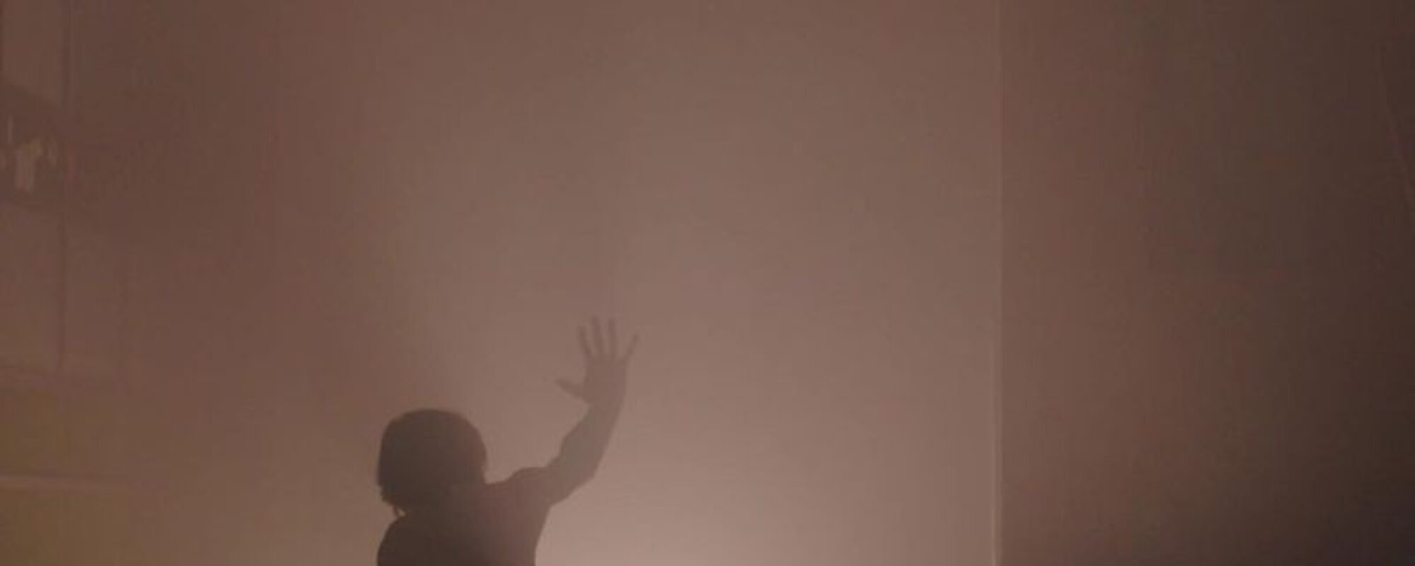 trötegalôpe-danza-voraz-15